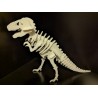 T-Rex Dinozor Maket 50 Adet